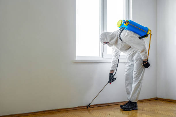 Best Wasp Removal Services  in Sun City Center, FL