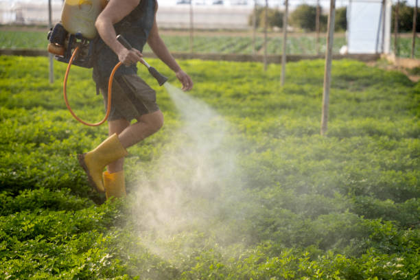 Best Affordable Pest Control Services  in Sun City Center, FL