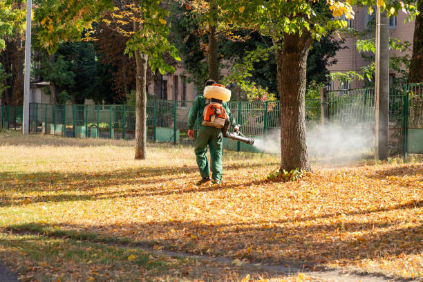 Reliable Sun City Center, FL Pest Control Solutions
