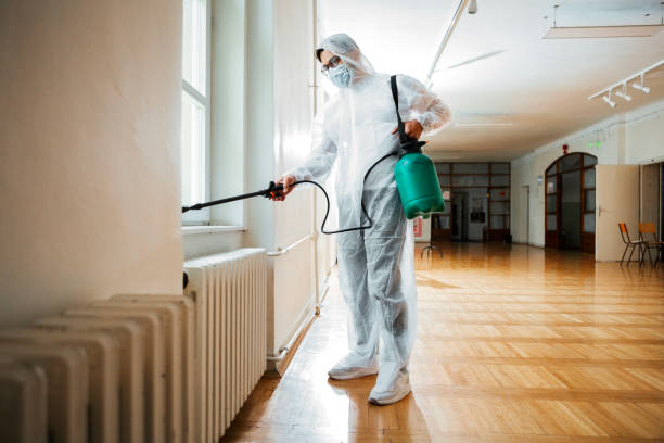 Best Best Pest Control Companies  in Sun City Center, FL